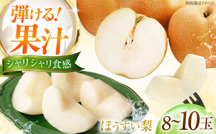 藤渕果樹園の豊水梨（ほうすいなし） 8～10玉入り 〈2026年8月～発送〉 ／ フルーツ 果物 くだもの 食品 人気 おすすめ 送料無料 梨 なし 豊水梨 季節のフルーツ 【株式会社内子フレッシュパークからり】 [BKAD063]