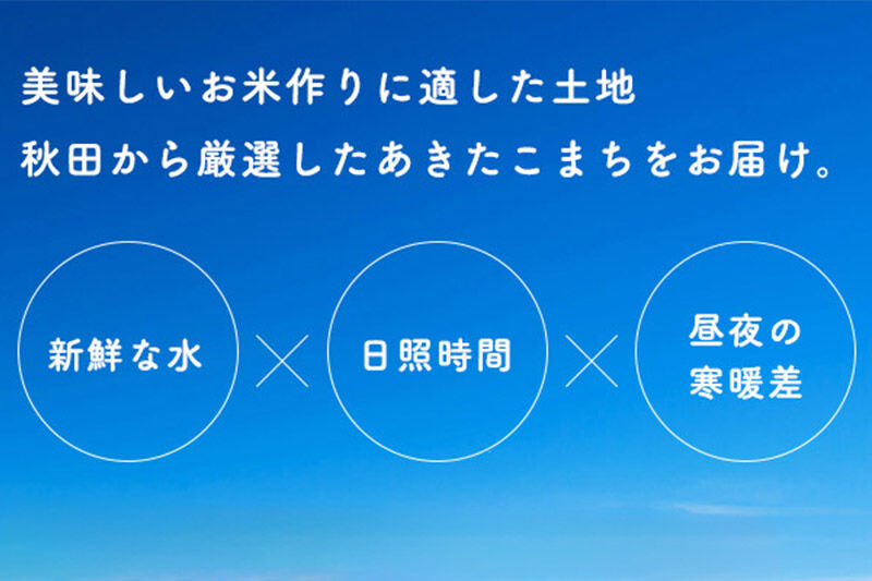 《令和8年産新米予約》 《定期便11ヶ月》【7分搗き】あきたこまち 10kg（5kg×2） 秋田県産 こまちライン 秋田県 大仙市産 [秋田 お米 米どころ あきたこまち こまちライン]