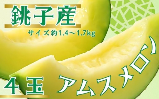 銚子産 アムスメロン！ 4玉 (1玉約1.4〜1.7kg未満)  メロン 青肉 果物 とろ甘16 高糖度 フルーツ ギフト プレゼント 贈答 贈り物 お取り寄せ デザート スイーツ ケーキ ゼリー ジュース 期間限定 国産 産地直送 農家直送 ふるさと納税 送料無料 千葉県 銚子市 弥兵衛 【6月下旬〜7月中旬発送】