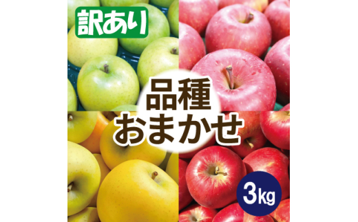 ＜25年8月より順次発送＞品種おまかせ 約3kg 訳あり  クール便【1611883】