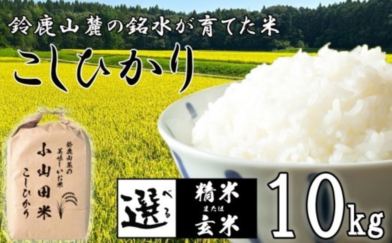 
                  こしひかり 10kg 鈴鹿山麓の銘水が育てた米、米どころ三重県産小山田地区「こしひかり」10kg 小山田米
                