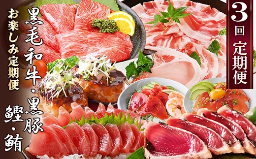 定期便3回配送　お楽しみ定期便(黒毛和牛・黒豚・かつお・まぐろ) LL-6014【配送不可地域：離島】