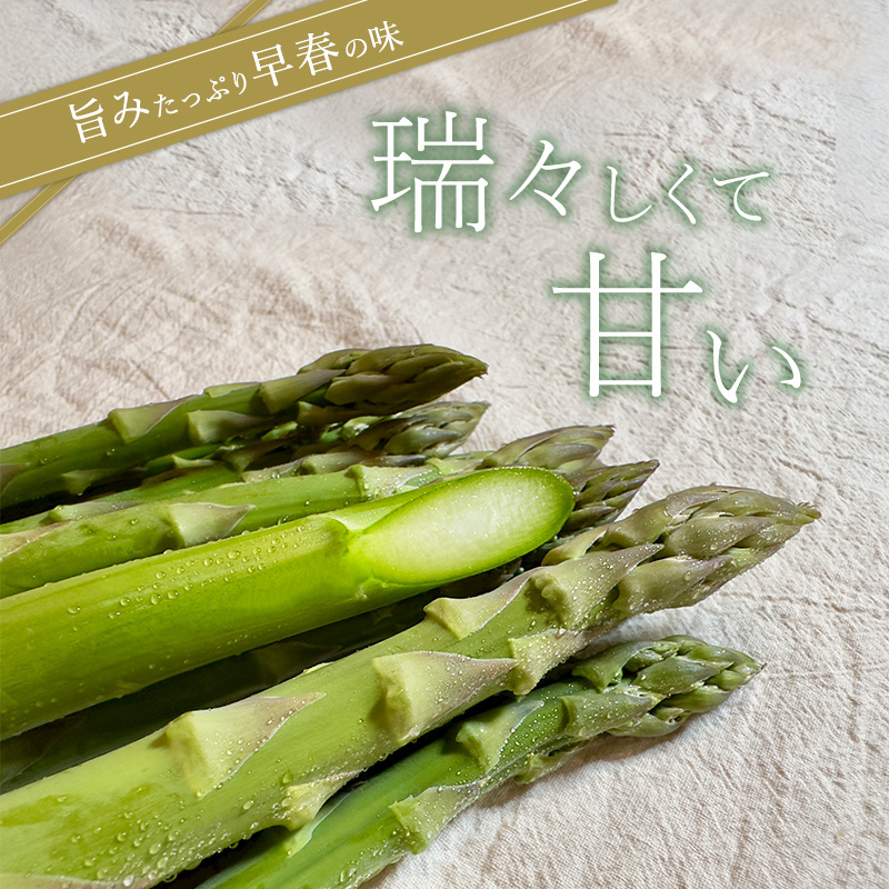先行予約 【 2026年 発送 ！】北海道 上富良野産 ホワイトアスパラガス 3L サイズ 800g アスパラ ホワイトアスパラ 上富良野町 令和6年発送 先行受付 野菜 やさい