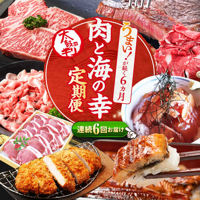 【ふるさと納税】【6回 定期便 】お肉と海の幸～見つけた！西海の宝物定期便～ [CZZ021] 西海市 定期便 月替わり 長崎和牛 サーロイン さーろいん ステーキ 鰻 うなぎ
