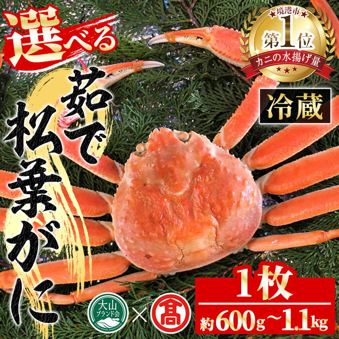 【ふるさと納税】＜選べる＞＜先行予約受付中！2025年11月～2026年3月上旬発送予定＞茹で松葉がに(1枚・約600g～1.1kg) 国産 魚介 海鮮 カニ かに 蟹 松葉ガニ 松葉蟹 ズワイガニ ずわいがに ボイル 冷蔵 コンシェルジュ 【T-DI1】【大山ブランド会】