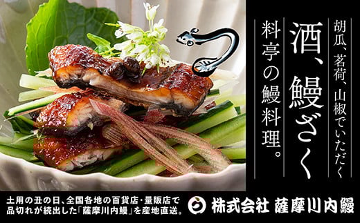 BS-339 鹿児島県産うなぎ蒲焼 約170g×3尾 