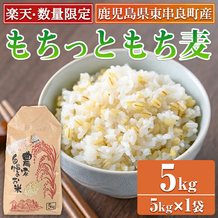 【ふるさと納税】＜楽天限定！＞物産館おススメ！もちっともち麦(計5kg) 鹿児島県産 もちむぎ もち麦 もち麦ごはん 常温 常温保存 数量限定 常温配送 【東串良物産館ルピノンの里】【0255936a】
