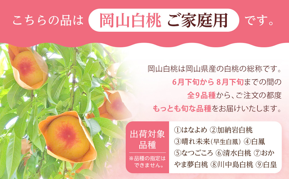 桃 2024年 先行予約 ご家庭用 岡山 白桃 早生、中生種 約2kg（5～10玉） もも モモ 岡山県 岡山市産 国産 フルーツ 果物