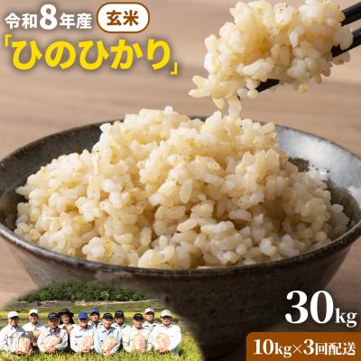 ふるさと納税 笠岡市 【令和8年産 先行受付】玄米  ひのひかり 笠岡産 30kg 太陽の恵み O-07_30k玄米