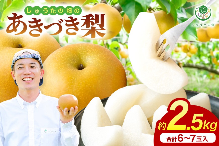 
                  【ふるさと納税】【先行予約】梨 あきづき梨 6～7玉 なし ナシ 秋月 完熟 福岡県産 フルーツ 果物 甘い ジューシー 旬 秋の味覚 お中元 ギフト 贈り物 家庭用 贈答用 送料無料 常温 国産 福岡 うきは市 人気 返礼品 しゅうたの畑【2026年9月上旬より順次発送予定】
                
