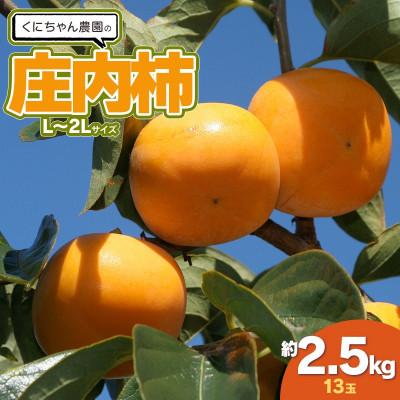 ふるさと納税 鶴岡市 くにちゃん農園の庄内柿 L〜2Lサイズ 約2.5kg(13玉)[K-722]