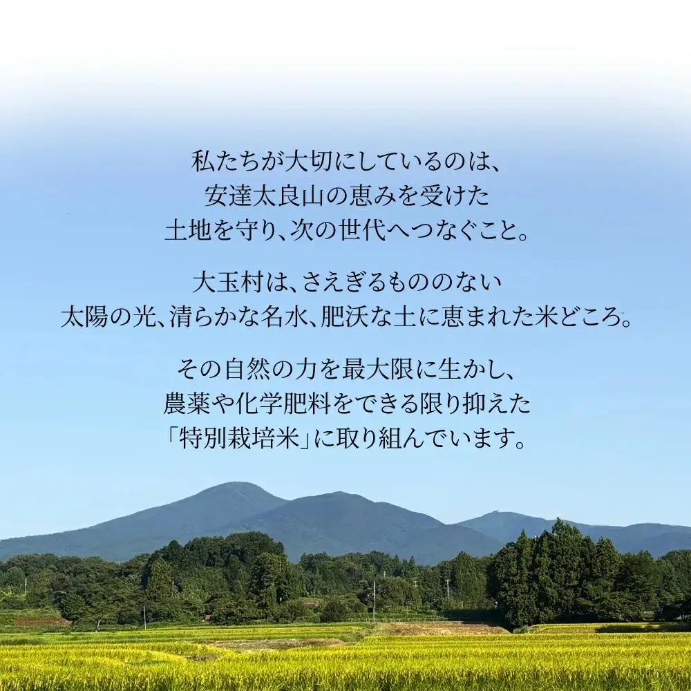 【令和７年産】特別栽培米 コシヒカリ 5kg