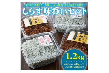 しらす味わいセット（釜揚げしらす・しらすの佃煮）１.２ｋｇ(B536-3)