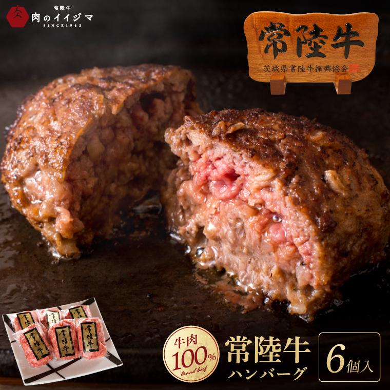 リピーター続出！ 無添加 常陸牛 100% ハンバーグ 100g 6個 セット 肉のイイジマ（DU-78）