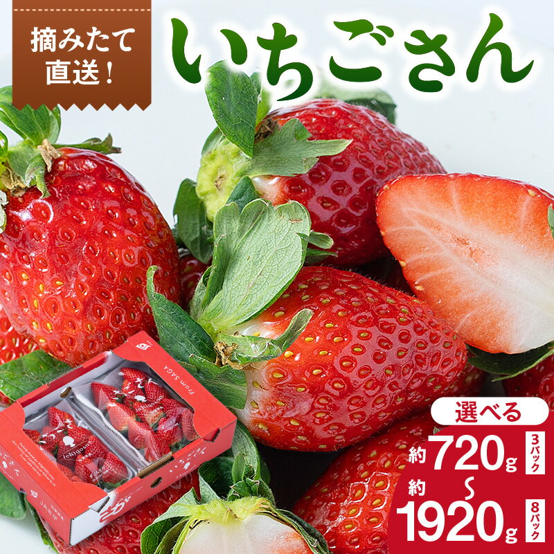 【ふるさと納税】佐賀産 いちごさん ＜数量が選べる／3パック・4パック・8パック＞ 【 果物 フルーツ 苺 先行予約 ふるさと納税 フルーツ 】