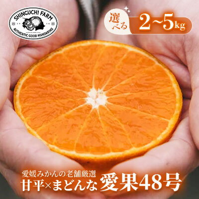 【ふるさと納税】「甘平×まどんな」愛果48号【紅プリンセスと同品種】 2kg / 3kg / 5kg_ みかん ミカン 蜜柑 果物 くだもの フルーツ デザート おいしい 希少 甘い かんきつ 柑橘 柑橘類 国産 愛媛 えひめ 【G1602935】