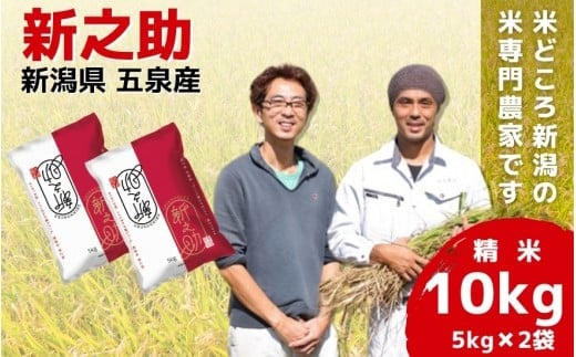 令和7年産米 「わくわく農場」の五泉産新之助 精米 10kg （5kg×2袋）新潟県 五泉市 わくわく農場