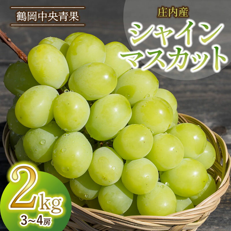 【ふるさと納税】【令和7年産先行予約】 山形県庄内産　シャインマスカット 2kg(3～4房)　鶴岡中央青果 | ぶどう 葡萄
