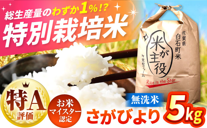 【先行予約】【令和7年産】こだわりの特別栽培！無洗米 さがびより 5kg 【有限会社定松ファーム】米 お米 [IBV002]