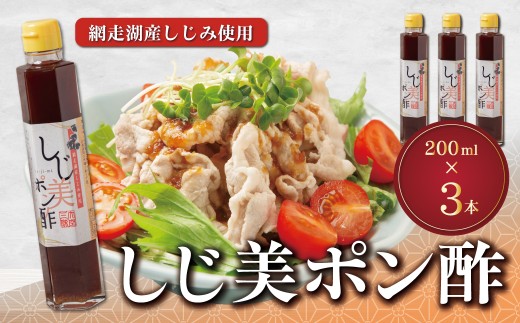 しじ美ポン酢3本セット 【ふるさと納税 人気 おすすめ ランキング しじ美 ぽん酢 調味料セット しじみ 濃縮 健康 常温 SDGs ギフト 料理 北海道産 特産品 お取り寄せ 贈答 贈り物 北海道 大空町 送料無料】 OSH015