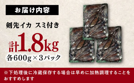 【1週間以内発送】訳あり 剣先イカ 1.8kg(3パック)  [WAC051] いかいかいかいかいかいかいかいかいか スピード発送 最速発送 最短発送