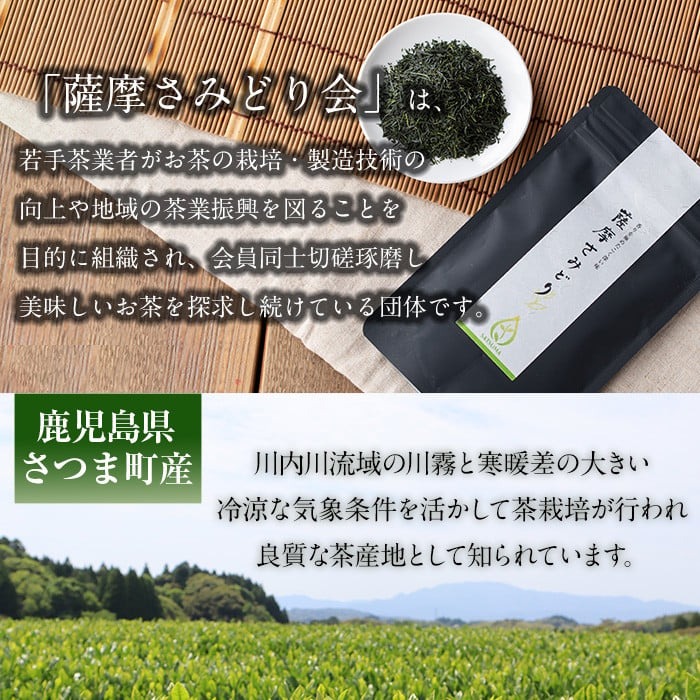 s507 ＜先行予約受付中！2025年5月中旬より順次発送＞《 新茶 》薩摩さみどり煎茶(煎茶100g×3袋) 鹿児島 国産 緑茶 煎茶 若蒸茶 銘茶 茶葉 お茶 日本茶 ギフト 贈答【薩摩さみどり会