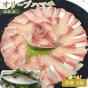 【ふるさと納税】オリーブハマチ | ハマチ 刺身 塩焼き しゃぶしゃぶ 酸化や変色しにくい肉質 さっぱりとした味わい オリジナルブランド 食品 食べ物 魚介類 お取り寄せ 冷蔵 送料無料 香川県 高松市