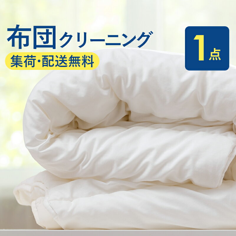【ふるさと納税】布団丸洗いクリーニング (1点パック) 掛布団クリーニング 中バッグコース 1枚 丁寧 丸洗い セミダブル 掛け布団 寝具 こたつ 丸洗い クリーニング シーツ 高品質ヤマトヤクリーニング 糸魚川 帰省 年末年始 実家 寝具 布団クリーニング