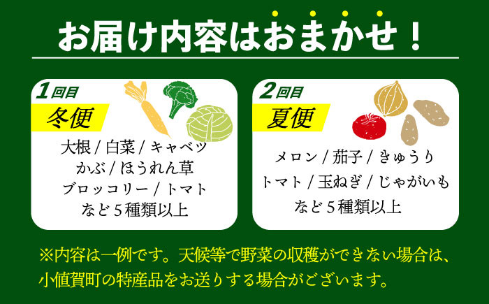野菜 2回定期便
