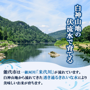 無洗米 孫兵衛のあきたこまち 10kg 秋田県 能代市産 新米 令和5年産