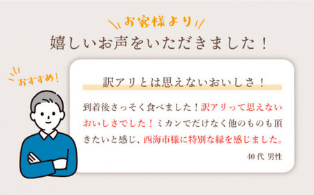 みかん 西海【 訳あり 】 石地みかん 約5kg  みかん ミカン 西海市 温州みかん 石地みかん 贈答 ギフト 家庭用 ＜中尾果樹園＞ [CEL006]