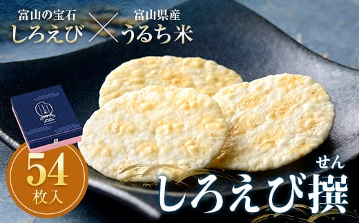 しろえびせんべいプレミアム しろえび撰 54枚入り 薄焼きせんべい 煎餅 せんべい 個包装 しろえび 白エビ 薄焼き ギフト お茶菓子 お茶請け おやつ 国産 食品 日の出屋製菓産業 F6T-001