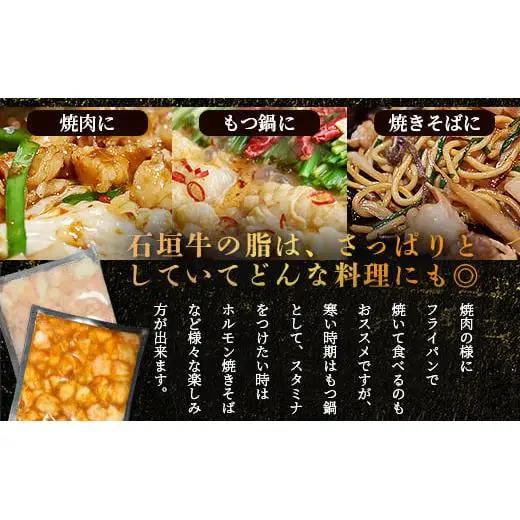 マルチョウ300g×2パック 秘伝の味噌味とプレーンの食べ比べセット　IM-18