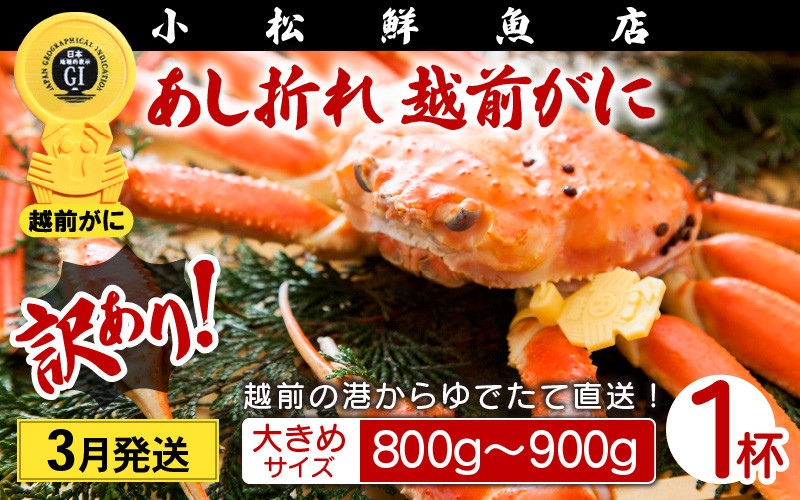 
【訳あり】足折れ 越前がに 大きめサイズ × 1杯（800～900g）地元で喜ばれるゆで加減・塩加減で越前の港から直送！【雄 ズワイガニ ずわいがに 姿 ボイル 冷蔵 福井県】【3月発送分】希望日指定可 備考欄に希望日をご記入ください [e23-x013_03]
