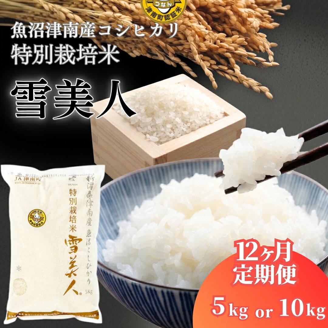 【ふるさと納税】【12ヶ月定期便】令和8年産 先行予約 魚沼産コシヒカリ 雪美人 5kg 10kg 選べる容量 特別栽培米 | 白米 精米 こしひかり こめ コメ お米 おこめ おすすめ 人気 ギフト プレゼント 新潟県 津南町