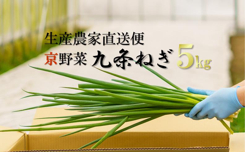 
                  生産農家直送　京野菜・九条ねぎ  5kg 〈ねぎ ネギ 葱 九条ねぎ 京野菜 京都 新鮮 甘い 農家直送 野菜〉 S4301改
                