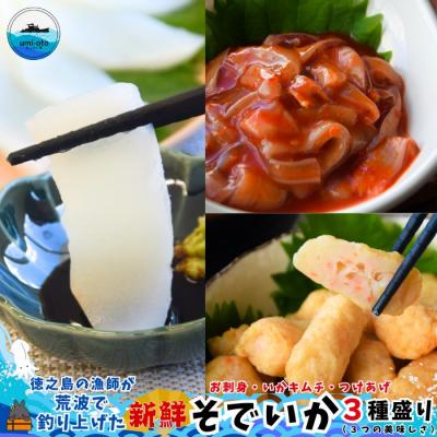 ふるさと納税 徳之島町 徳之島の漁師が荒波で釣り上げたそでいか 3種盛り お刺身・いかキムチ・つけあげ