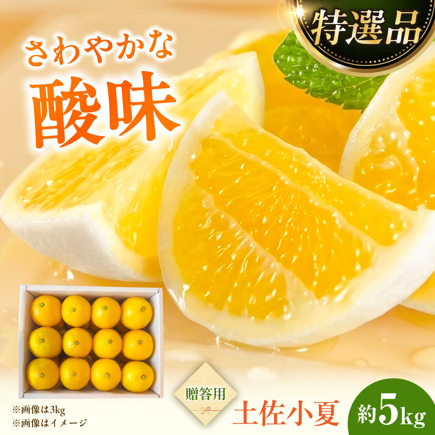 【ふるさと納税】【先行予約】土佐小夏 特選品贈答用 約5kg〈2027年5月下旬〜2027年6月下旬頃発送〉小夏 高知 柑橘 フルーツ こなつ 夏 甘い 旬 産直 ジュース 爽やか お取り寄せ 国産 土佐 高知県土佐市/白木果樹園[BQAI028]