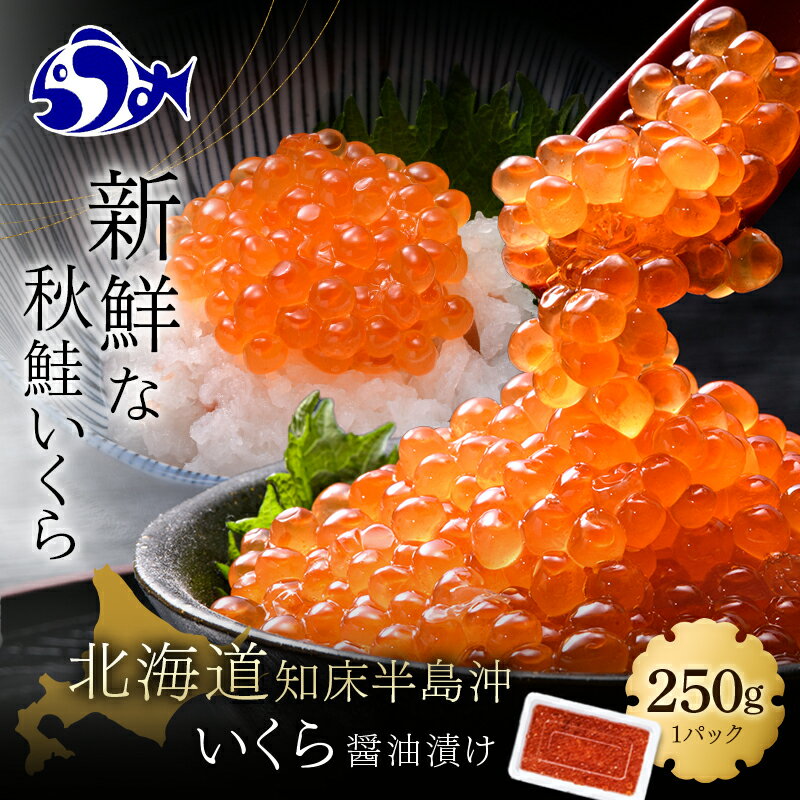 【ふるさと納税】いくら醤油漬け 250g イクラ 魚卵 いくら丼 海鮮丼 ご飯のお供 羅臼町 北海道 生産者 支援 応援