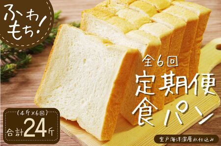 6回定期便 食パンセット【室戸海洋深層水仕込み】 4斤×6回 食パン もちもち ぱん 北海道産小麦使用 朝食 ギフト 