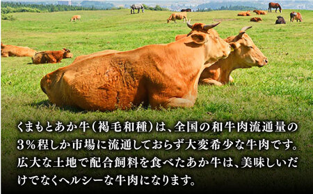 GI認証 くまもとあか牛 すきやき用 400g 熊本県産 牛肉 あか牛すき焼き 牛肉 あか牛すきやき 牛肉 あか牛しゃぶしゃぶ 牛肉 あか牛スライス 牛肉 あか牛 牛肉 赤牛 牛肉 褐牛 牛肉 あかう