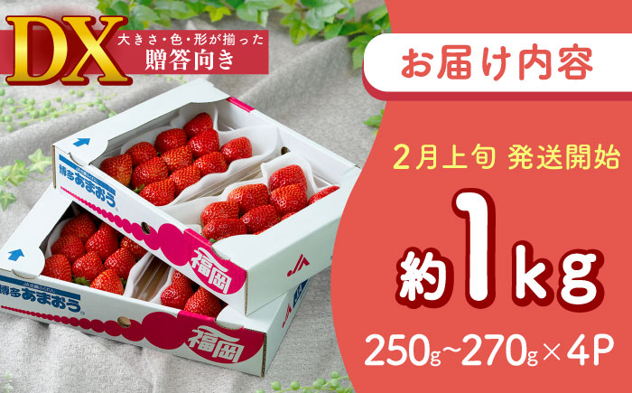 【2027年2月上旬より順次発送】春あまおうDX(デラックス) 約250g～270g×4パック 吉富町/南国フルーツ株式会社 [BGAG019] いちご 苺 果物 くだもの フルーツ 甘い 福岡県