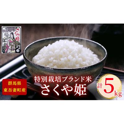 ふるさと納税 東吾妻町 【東吾妻町産】特別栽培ブランド米 さくや姫 5kg[No.5819-0344] |  | 01