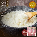 【ふるさと納税】【新米予約受付】 ふるさと納税 米 無洗米 令和6年産無洗米ゆめぴりか10kg ゆめぴりか