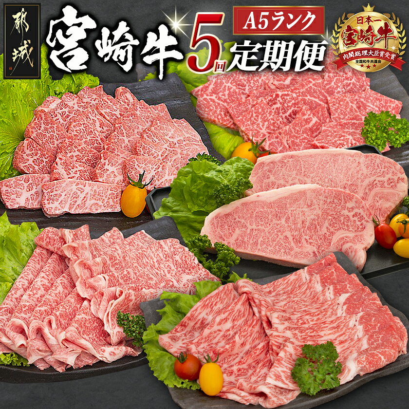 【ふるさと納税】日本一の宮崎牛定期便【毎月29日は都城のお肉でお肉時間】 - 全てA5ランク 全て宮崎牛 特選カルビ焼肉用/牛モモスライス肉/牛モモ焼肉/牛リブローススライス/牛サーロインステーキ 送料無料 T105-5-A001【宮崎県都城市は2年連続ふるさと納税日本一！】