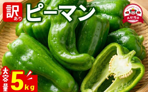 訳ありピーマン5kg [7-9月発送] 規格外 大容量 ピーマン 野菜 やさい 赤 緑 完熟 ぴーまん BBQ バーベキュー 焼き肉 焼肉 お裾分け 食品 旨味 ミネラル 栄養 自宅用 お試し ごはん 夕飯 おかず サラダ 被災 震災 火災 支援 応援 大船渡 三陸 岩手県 国産