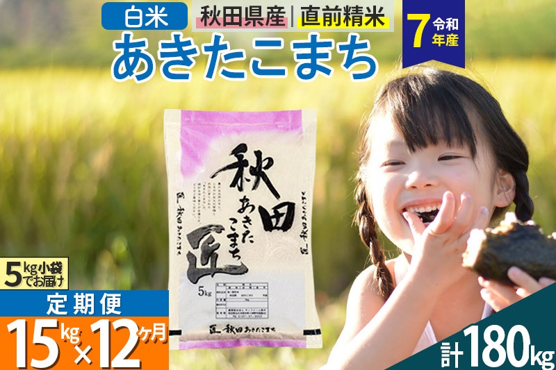 【白米】＜令和7年産＞ 《定期便12ヶ月》秋田県産 あきたこまち 匠 15kg (5kg×3袋)×12回 15キロ お米 |02_snk-010712s