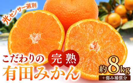 ≪12月発送≫ こだわりの 有田みかん 約8kg＋250g(傷み補償分) 【ご家庭用】 ※北海道・沖縄・離島配送不可 【nuk100-12A】