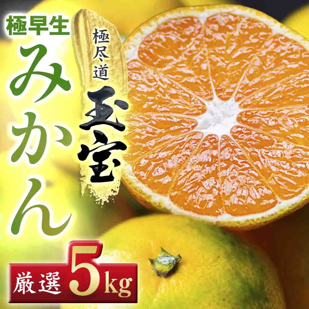 
                  ＜愛媛名産＞極早生みかん 5kg＜C64-19＞【1510673】 YWTY008
                