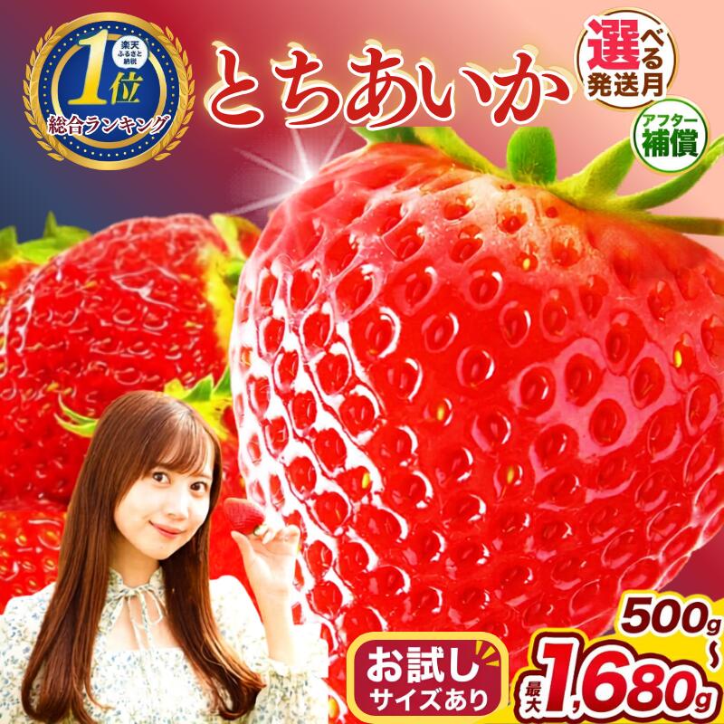 楽天限定 朝摘みいちご 旬の品種 1200g